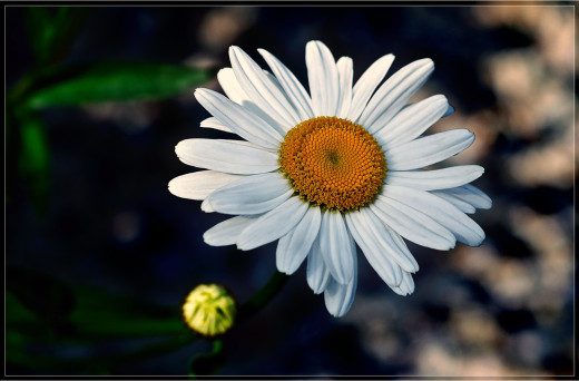 644352 (a): :1600x1050